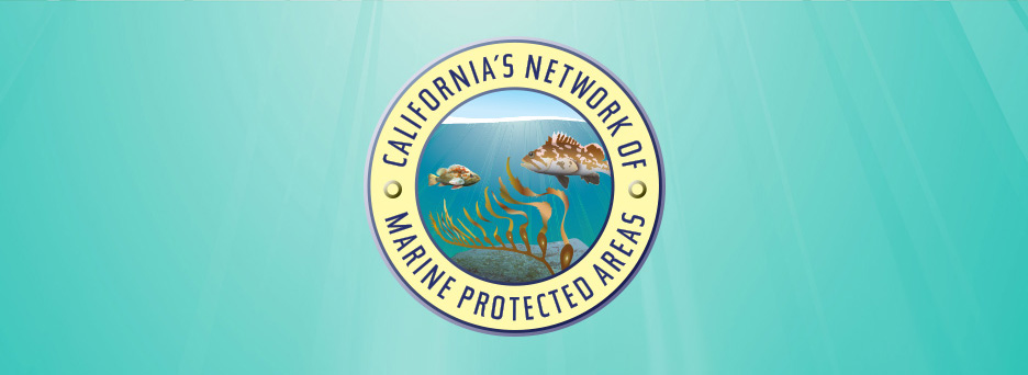 California's Network of Marine Protected Areas