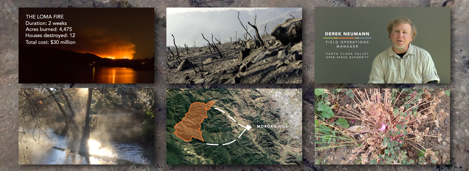 The Loma Fire: One Year Later