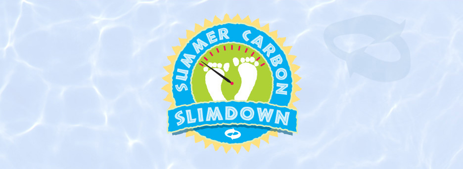 TerraPass Summer Carbon Slimdown