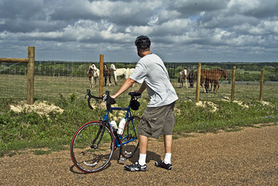 2015 Tour of Navidad Valley